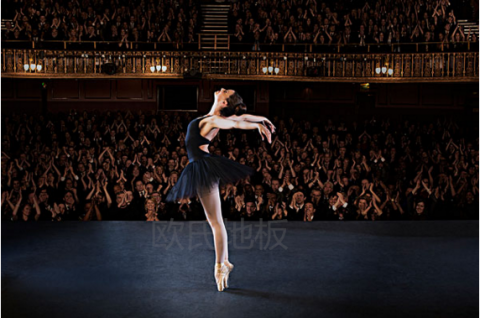 欧氏舞蹈系列运动木地板的产品特点